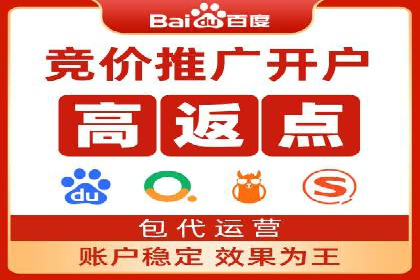 大型企业SEM外包实战案例